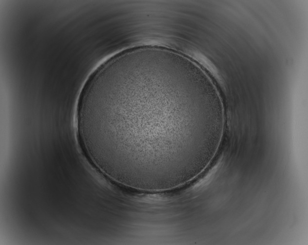 X0000093151028200710101132