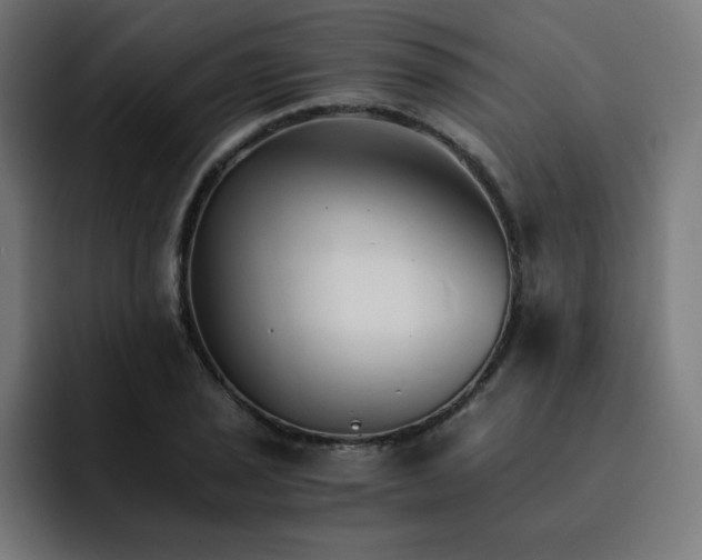 X0000093151029200710101132