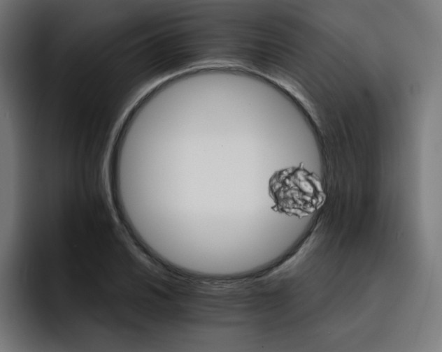 X0000093151030200710101132
