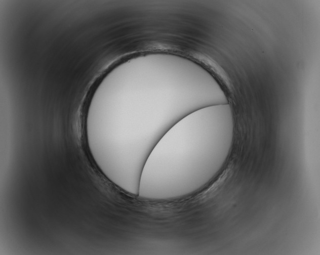 X0000093151031200710101132