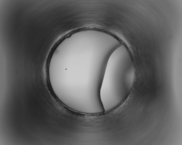 X0000093151032200710101132