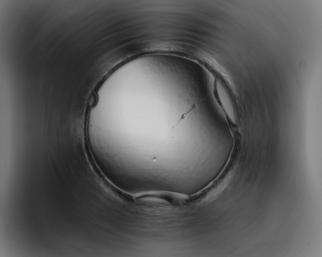 X0000093151033200710101132