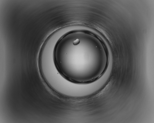 X0000093151034200710101132