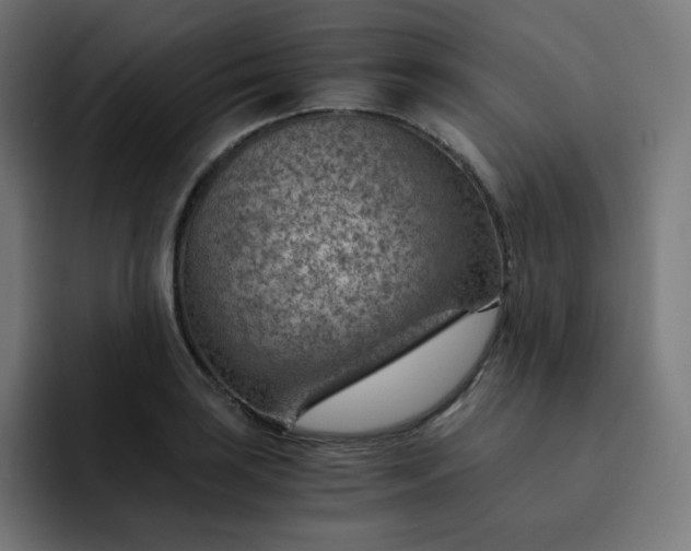 X0000093151035200710101132