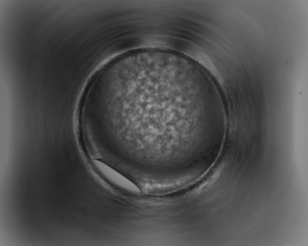 X0000093151037200710101132