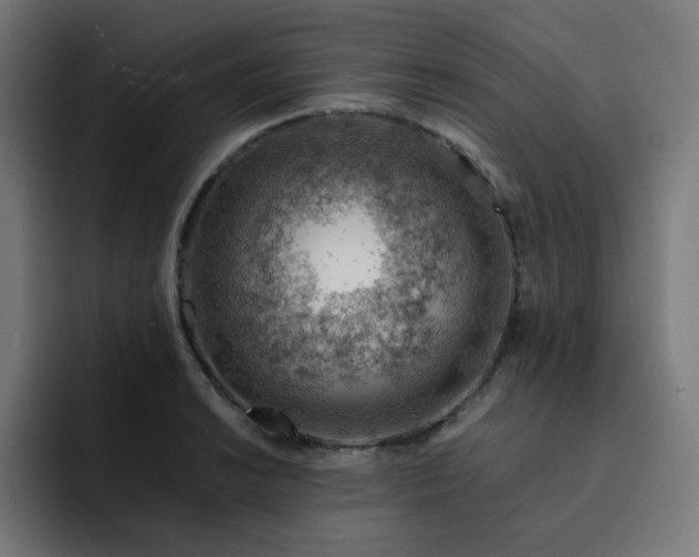 X0000093151038200710101132