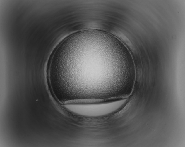 X0000093151039200710101132