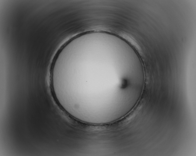 X0000093151040200710101132