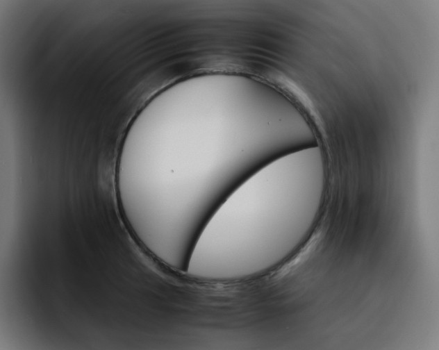 X0000093151041200710101132
