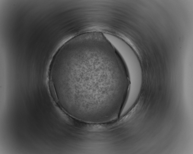 X0000093151042200710101132