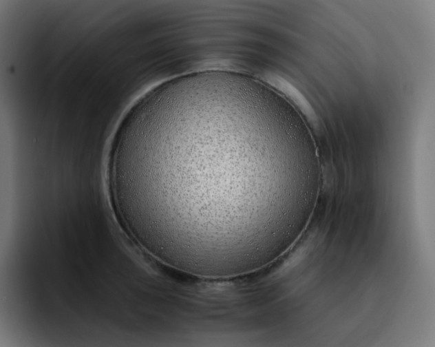 X0000093151043200710101132
