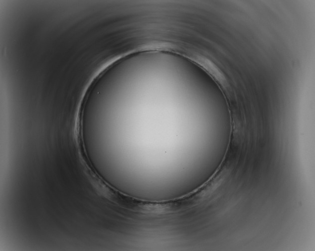 X0000093151044200710101132