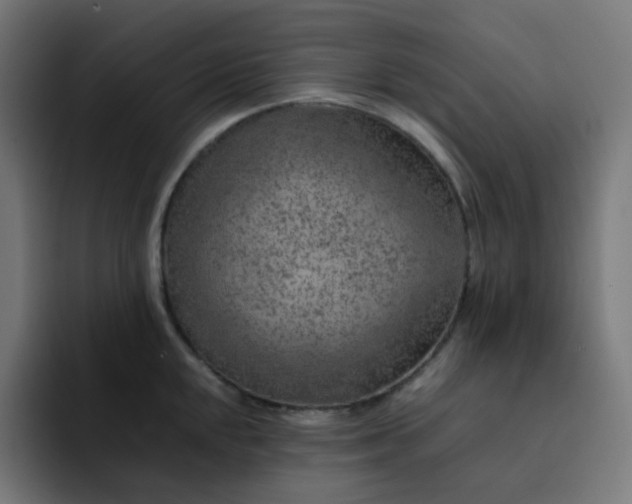 X0000093151048200710101132