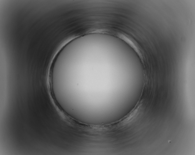 X0000093151050200710101132