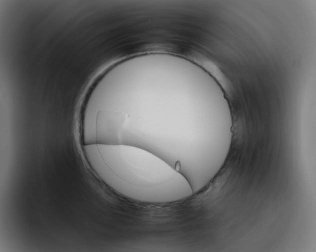X0000093151051200710101132