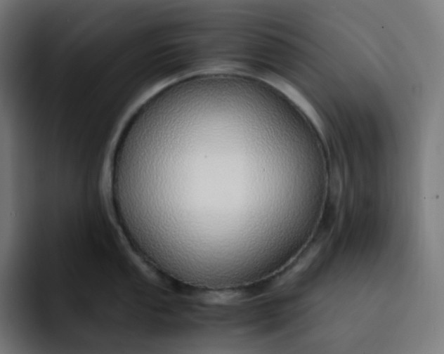 X0000093151053200710101132