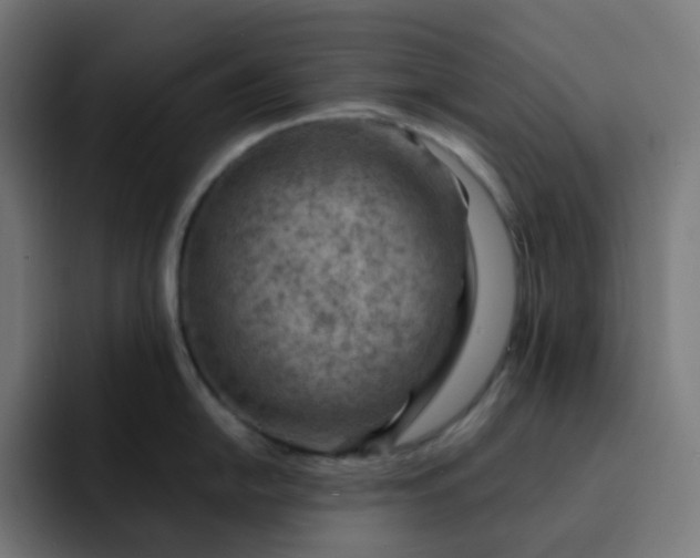 X0000093151054200710101132
