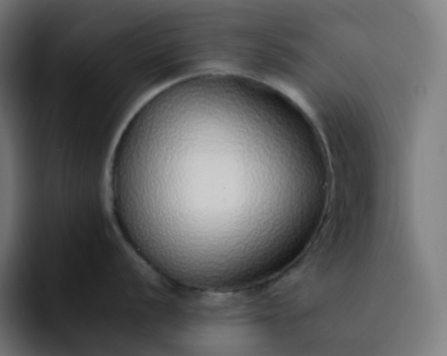 X0000093151056200710101132