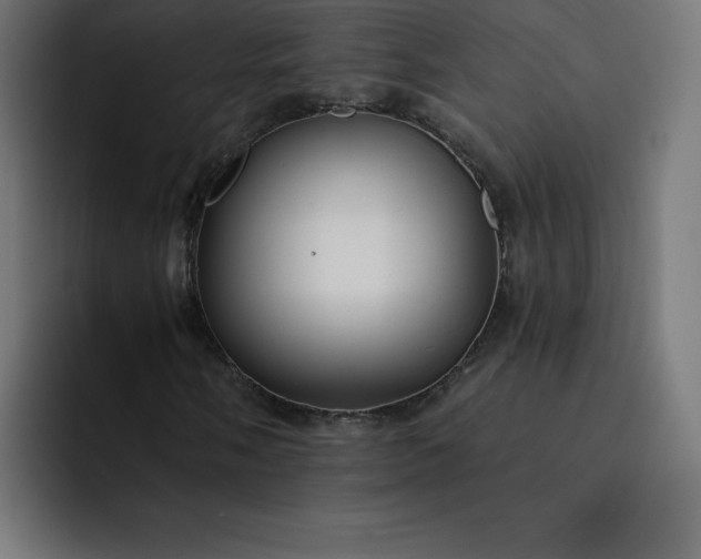 X0000093151058200710101131