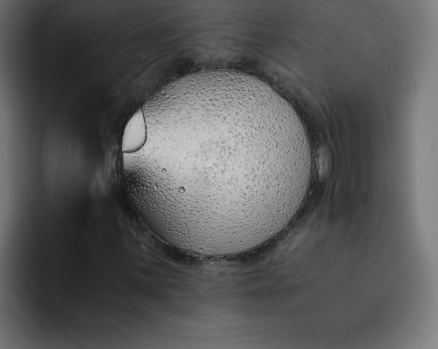 X0000093151059200710101131