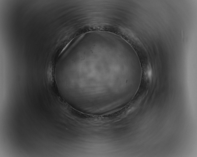 X0000093151060200710101131