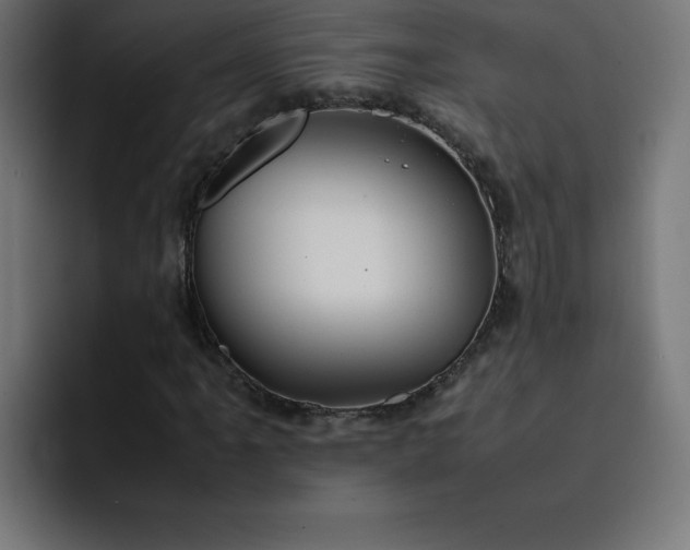 X0000093151061200710101131