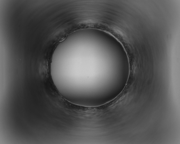 X0000093151062200710101131