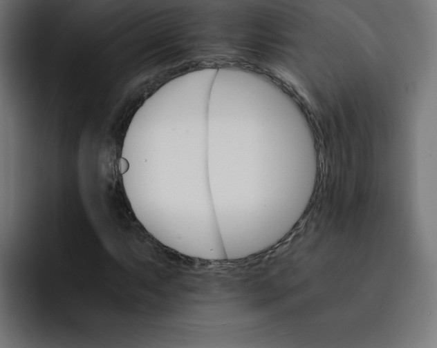 X0000093151063200710101131
