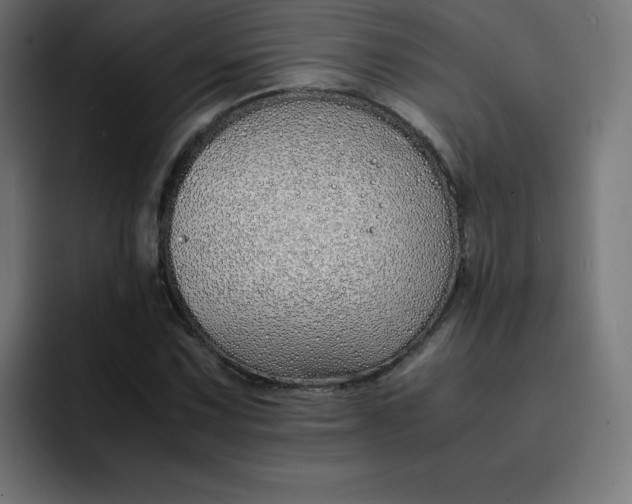 X0000093151067200710101131