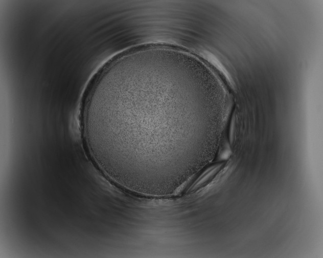 X0000093151068200710101131