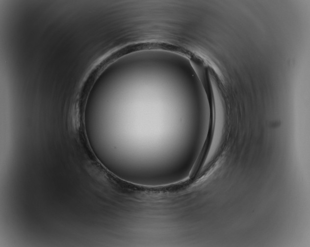 X0000093151069200710101131