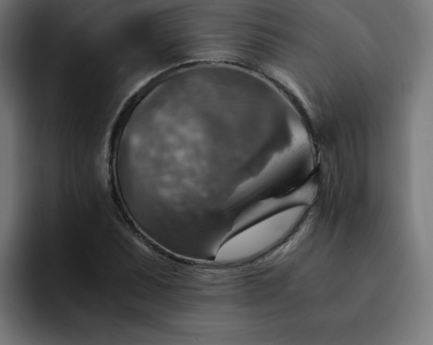 X0000093151071200710101131