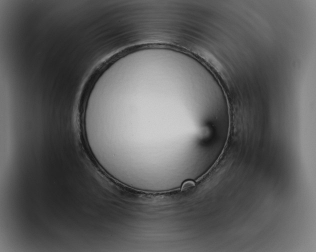 X0000093151072200710101131