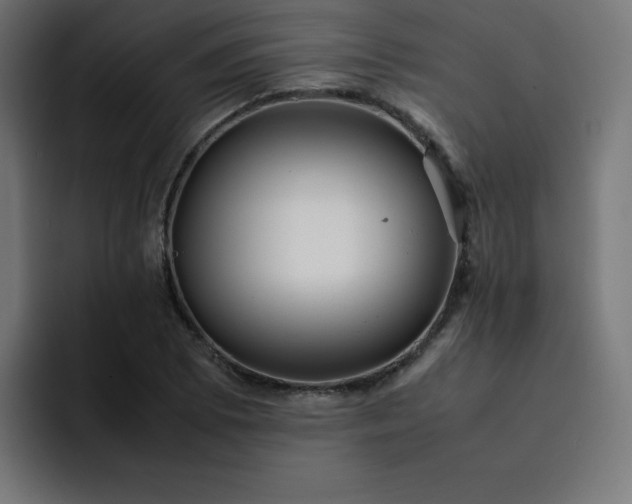 X0000093151073200710101131
