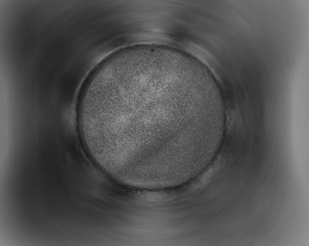 X0000093151074200710101131