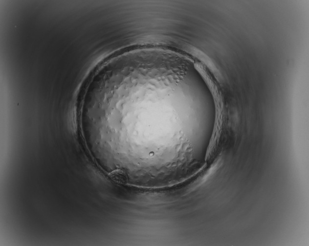 X0000093151075200710101131