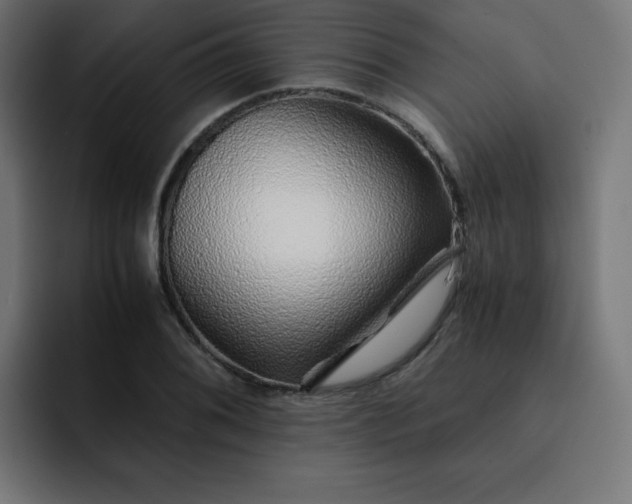X0000093151076200710101131