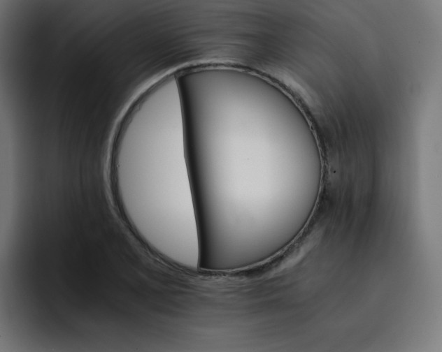 X0000093151077200710101131