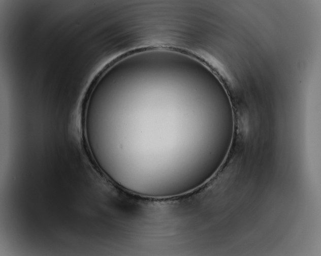 X0000093151078200710101131