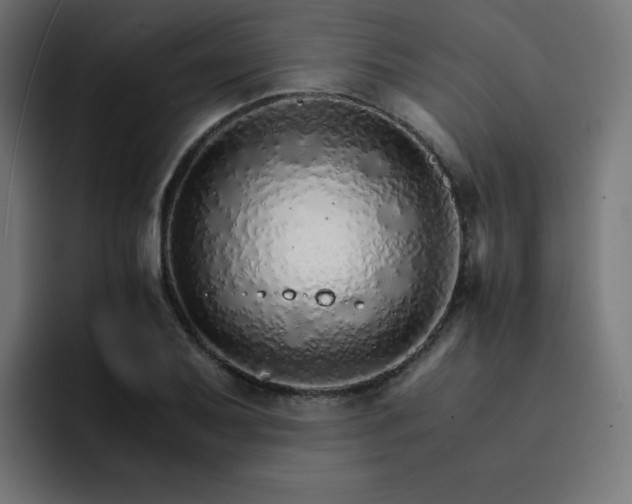 X0000093151079200710101131