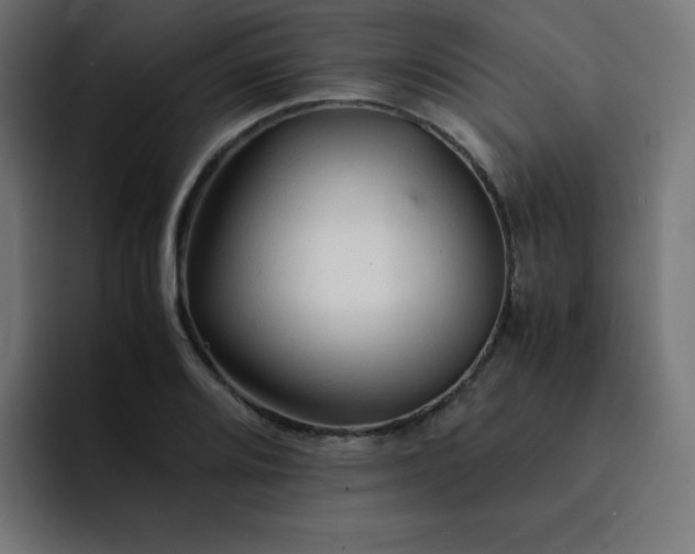 X0000093151080200710101131
