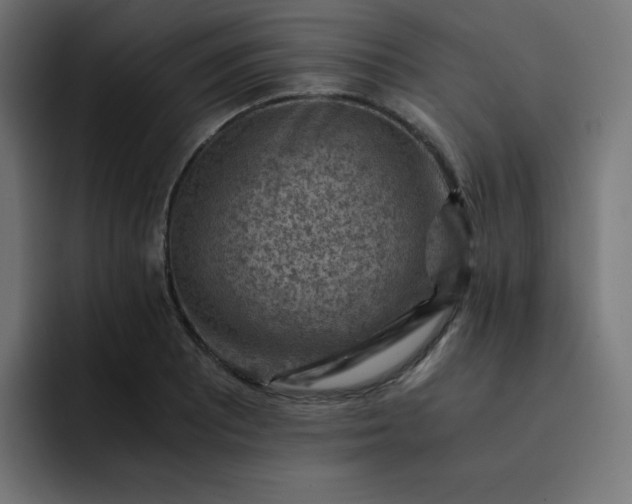 X0000093151081200710101131