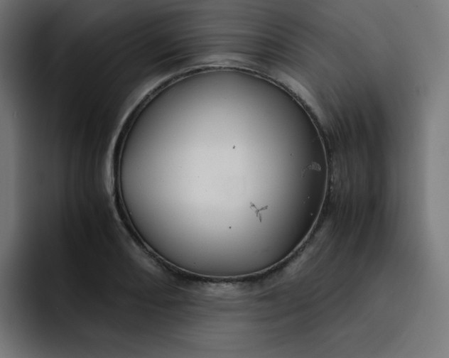 X0000093151082200710101131