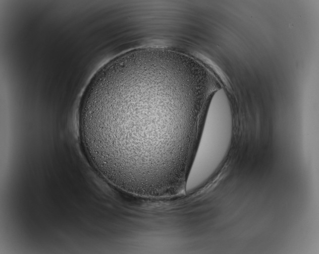 X0000093151083200710101131