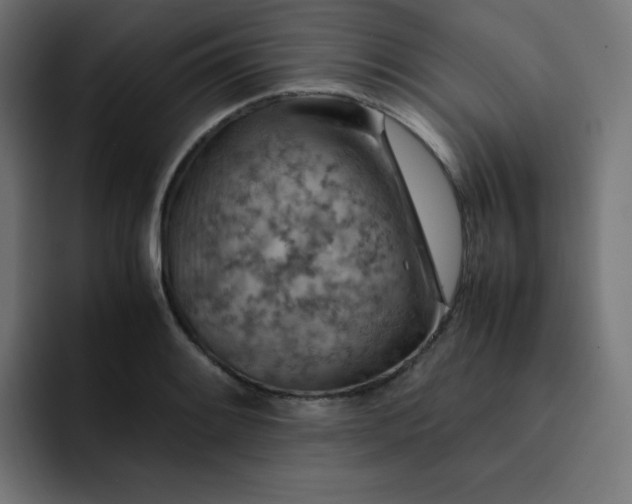 X0000093151084200710101131