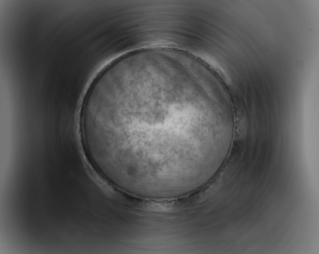 X0000093151086200710101131