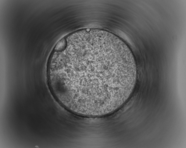 X0000093151087200710101131