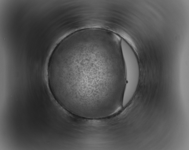 X0000093151088200710101131