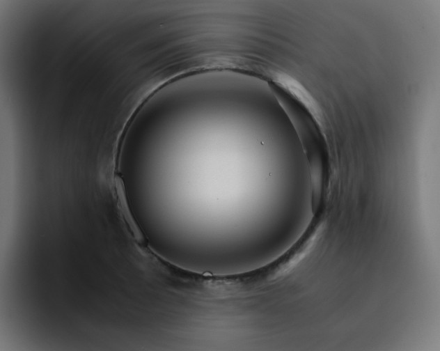 X0000093151089200710101131
