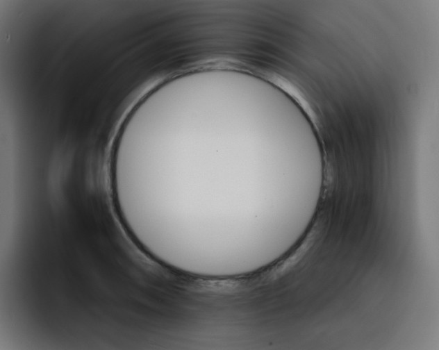 X0000093151090200710101131